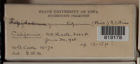 Image Associated With the Occurence